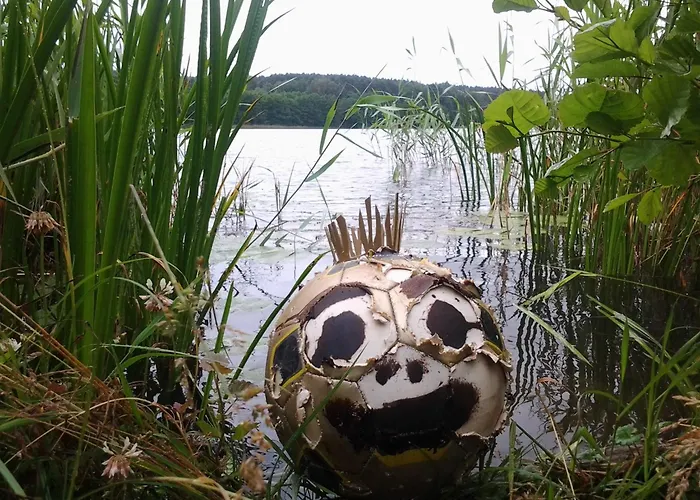 Domek Nad Jeziorem, A Morze W Gratisie